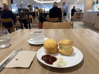 IMG_3504.jpeg IMG_3504.jpeg