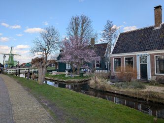 PXL_20260315_145229951.jpg PXL_20260315_145229951.jpg