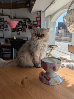 PXL_20260319_095102033.jpg PXL_20260319_095102033.jpg