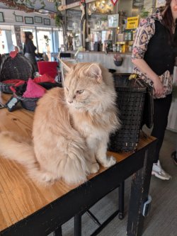 PXL_20260319_095351376.jpg PXL_20260319_095351376.jpg