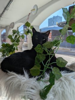 PXL_20260319_102131381.jpg PXL_20260319_102131381.jpg