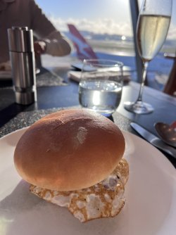 IMG_0928.jpeg IMG_0928.jpeg