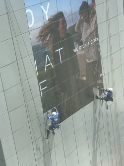 IMG_7747.jpg IMG_7747.jpg