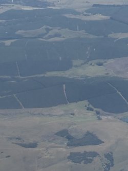 IMG_7769.jpg IMG_7769.jpg