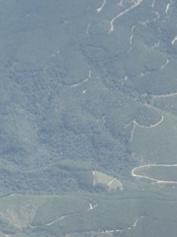 IMG_7771.jpg IMG_7771.jpg