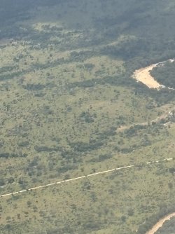 IMG_7775.jpg IMG_7775.jpg