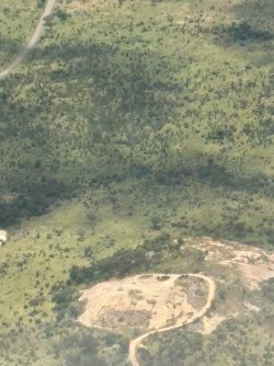 IMG_7776.jpg IMG_7776.jpg