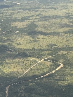 IMG_7778.jpg IMG_7778.jpg