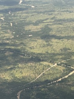 IMG_7779.jpg IMG_7779.jpg