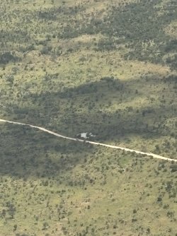 IMG_7780.jpg IMG_7780.jpg