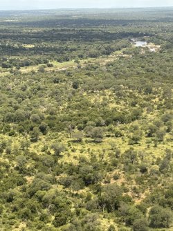 IMG_7783.jpg IMG_7783.jpg