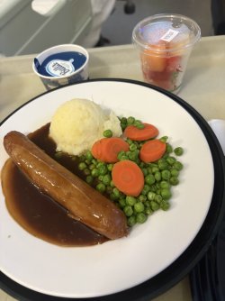 IMG_8413.jpeg IMG_8413.jpeg