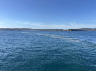 IMG_2822.JPG IMG_2822.JPG