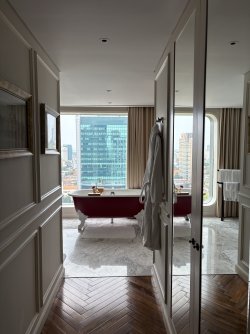 IMG_4049.jpeg IMG_4049.jpeg