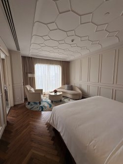 IMG_4053.jpeg IMG_4053.jpeg