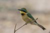 20150922- Botswana-374.jpg