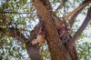 20150922- Botswana-210.jpg
