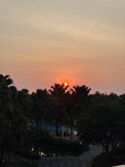 IMG_4099.jpeg IMG_4099.jpeg