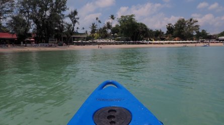 IMG_4740.jpeg IMG_4740.jpeg