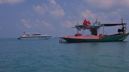 IMG_4748.jpeg IMG_4748.jpeg