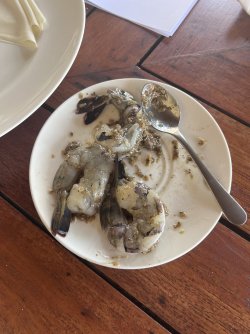 IMG_1200.jpeg IMG_1200.jpeg