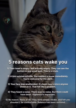 Screenshot 2026-03-28 155334.png