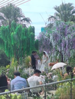 Screenshot_20260330_163602_Gallery.jpg Screenshot_20260330_163602_Gallery.jpg