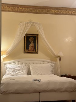 IMG_7025.jpeg IMG_7025.jpeg