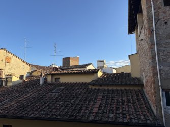 IMG_6710.jpeg IMG_6710.jpeg