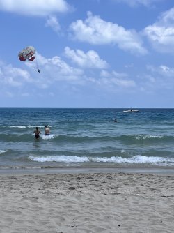 IMG_1295.jpeg IMG_1295.jpeg