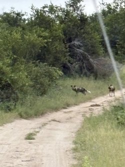 IMG_7841.jpg IMG_7841.jpg