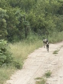 IMG_7842.jpg IMG_7842.jpg