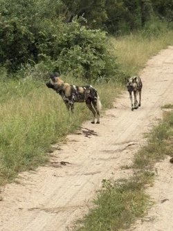 IMG_7843.jpg IMG_7843.jpg