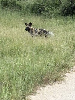 IMG_7844.jpg IMG_7844.jpg