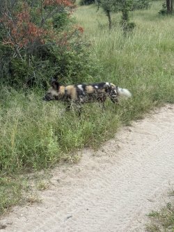 IMG_7847.jpg IMG_7847.jpg