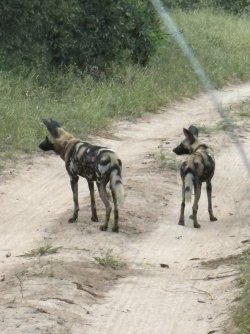 IMG_7849.jpg IMG_7849.jpg