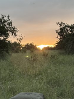 IMG_7850.jpg IMG_7850.jpg