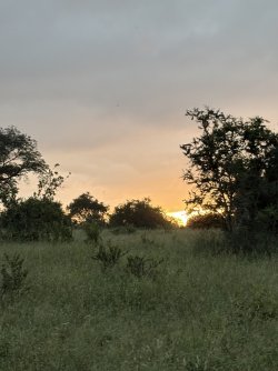 IMG_7852.jpg IMG_7852.jpg