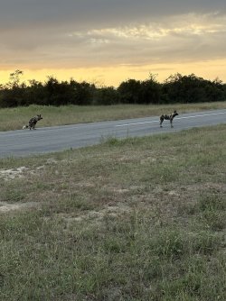 IMG_7853.jpg IMG_7853.jpg