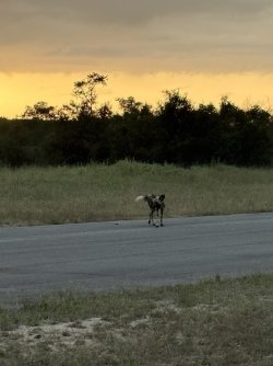 IMG_7854.jpg IMG_7854.jpg