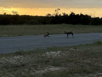 IMG_7855.jpg IMG_7855.jpg