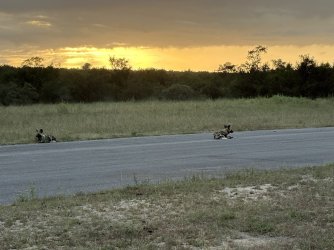 IMG_7857.jpg IMG_7857.jpg