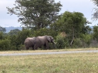 IMG_7859.jpg IMG_7859.jpg