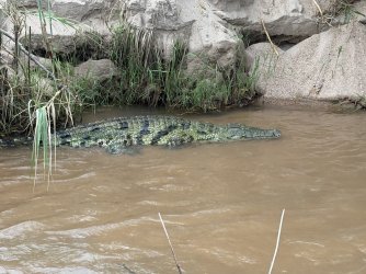 IMG_7861.jpg IMG_7861.jpg