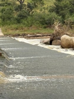 IMG_7862.jpg IMG_7862.jpg