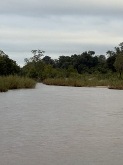 IMG_7863.jpg IMG_7863.jpg