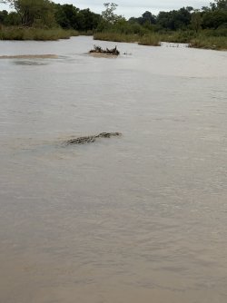 IMG_7864.jpg IMG_7864.jpg