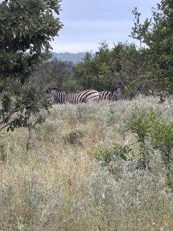 IMG_7865.jpg IMG_7865.jpg