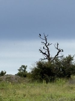 IMG_7866.jpg IMG_7866.jpg