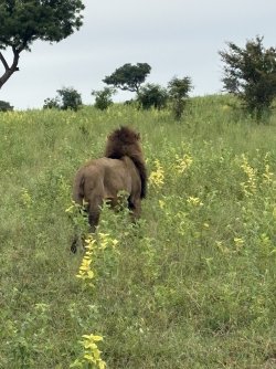 IMG_7867.jpg IMG_7867.jpg